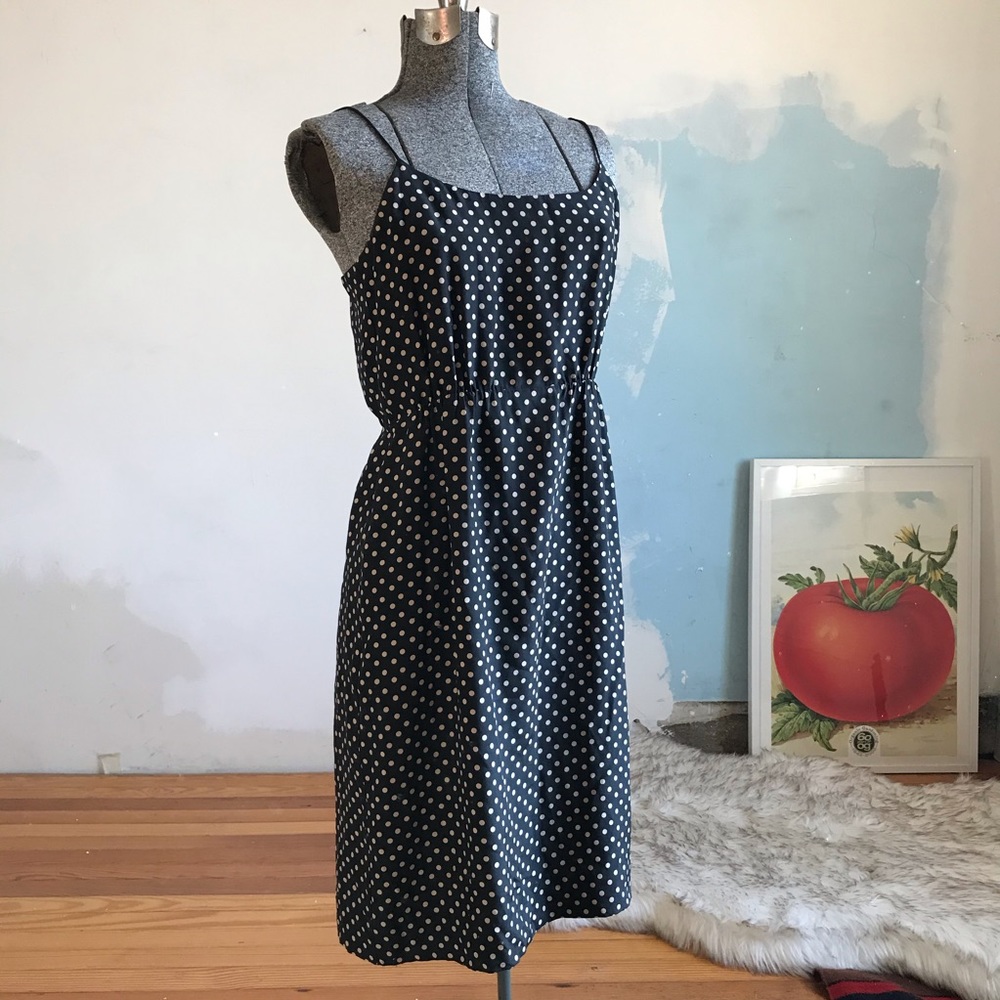 J. Crew Silk Polka Dot Dress